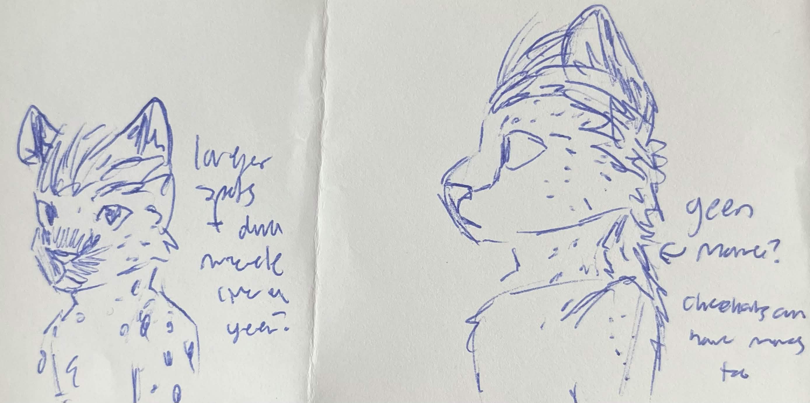 Pietro Maximoff. While my furry AU sees the Maximoff twins as jackrabbits, my sibling has a vision of them as wildcats, and I am the furry artist between us. They say Pietro is a cheetah with 'hyena influence, if that makes sense', so I wanted to toy with what that could look like